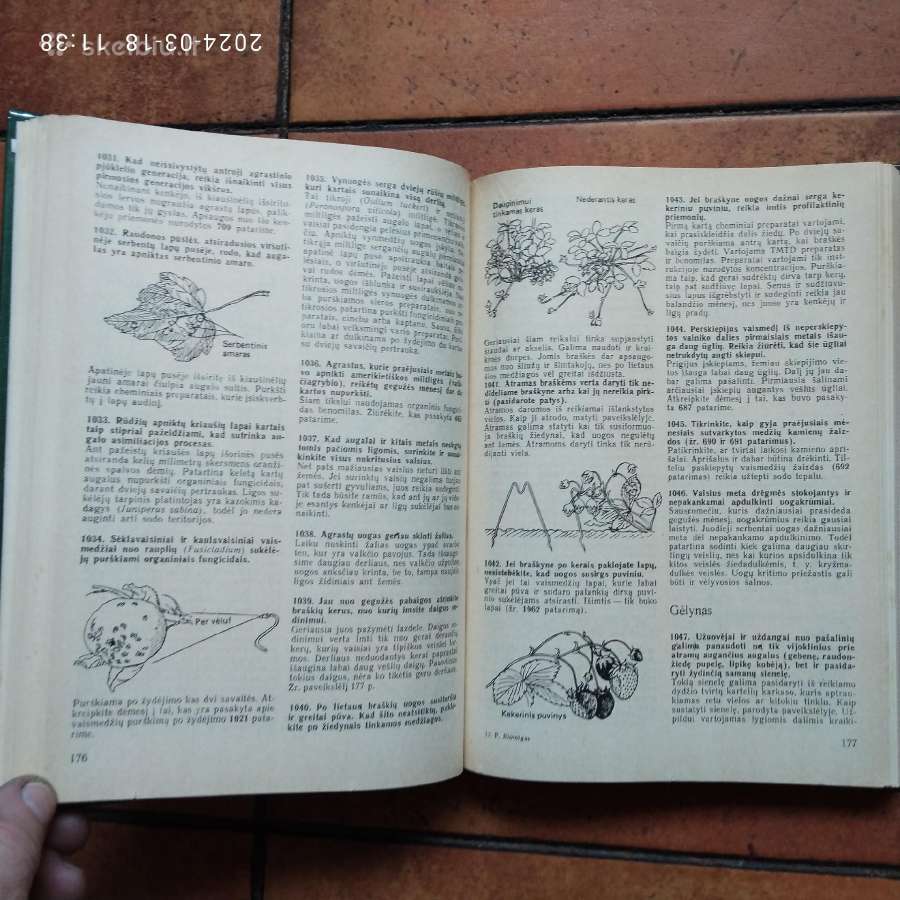 F Biomigas "Kasdieninis darbas sode" 1988 metai - nuotraukos Nr. 5
