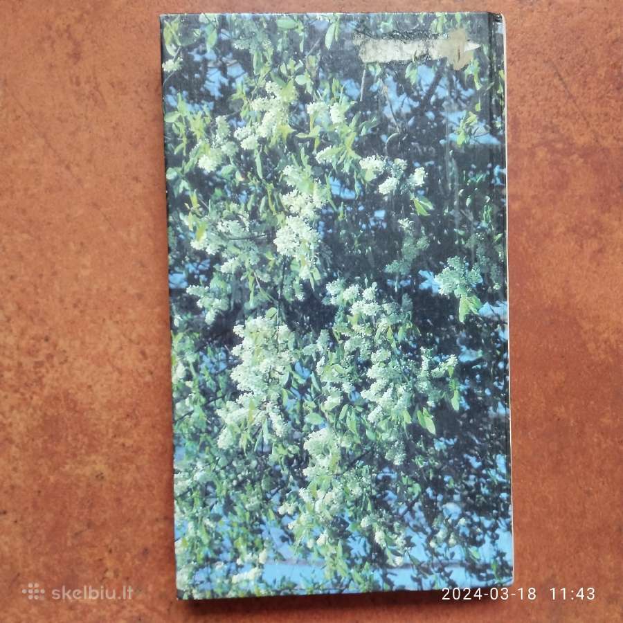 J. Jaskonis "Aromatiniai augalai" 1989 metai - nuotraukos Nr. 8