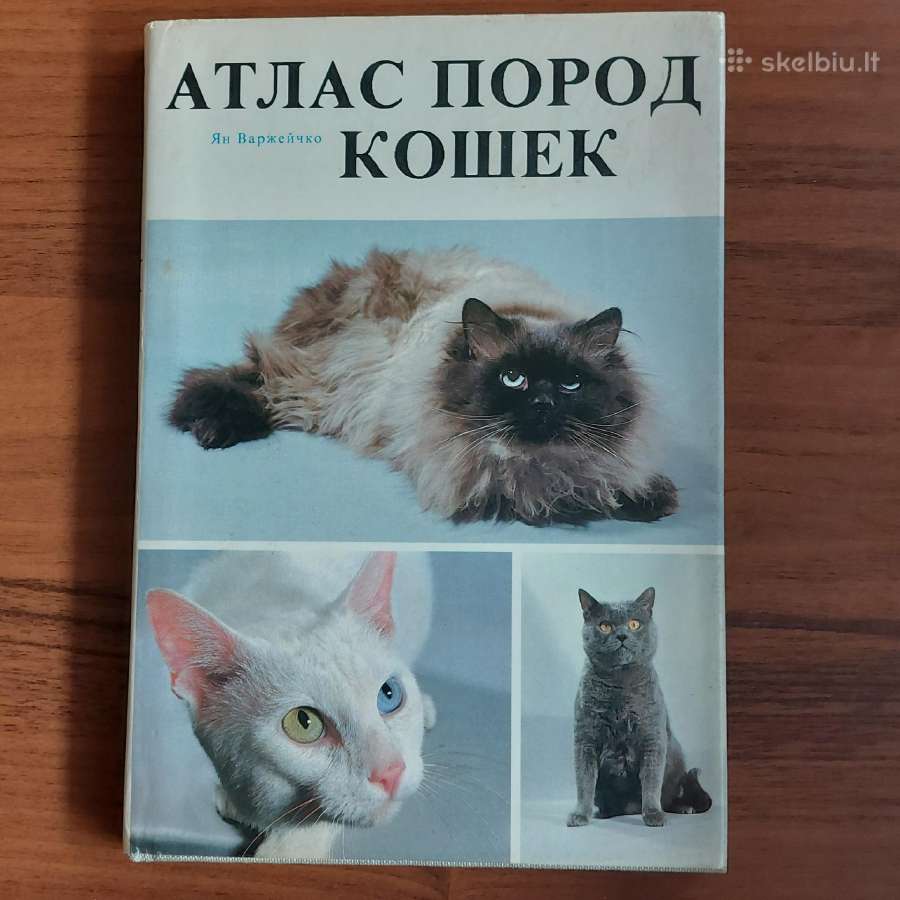 Žinynas apie katės / The Guide to cats