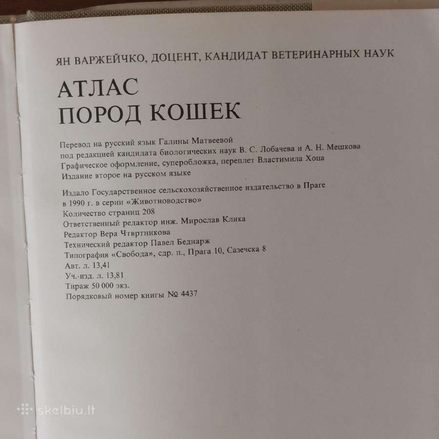 Žinynas apie katės / The Guide to cats - nuotraukos Nr. 38
