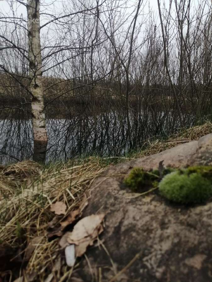 Autentiška sodyba, 38 km. jūra - nuotraukos Nr. 11