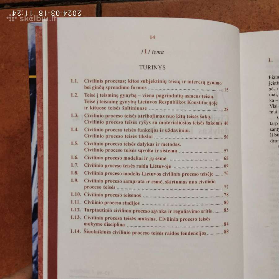 A. Driukas V. Valančius "Civilinis procesas" 2006m - nuotraukos Nr. 5