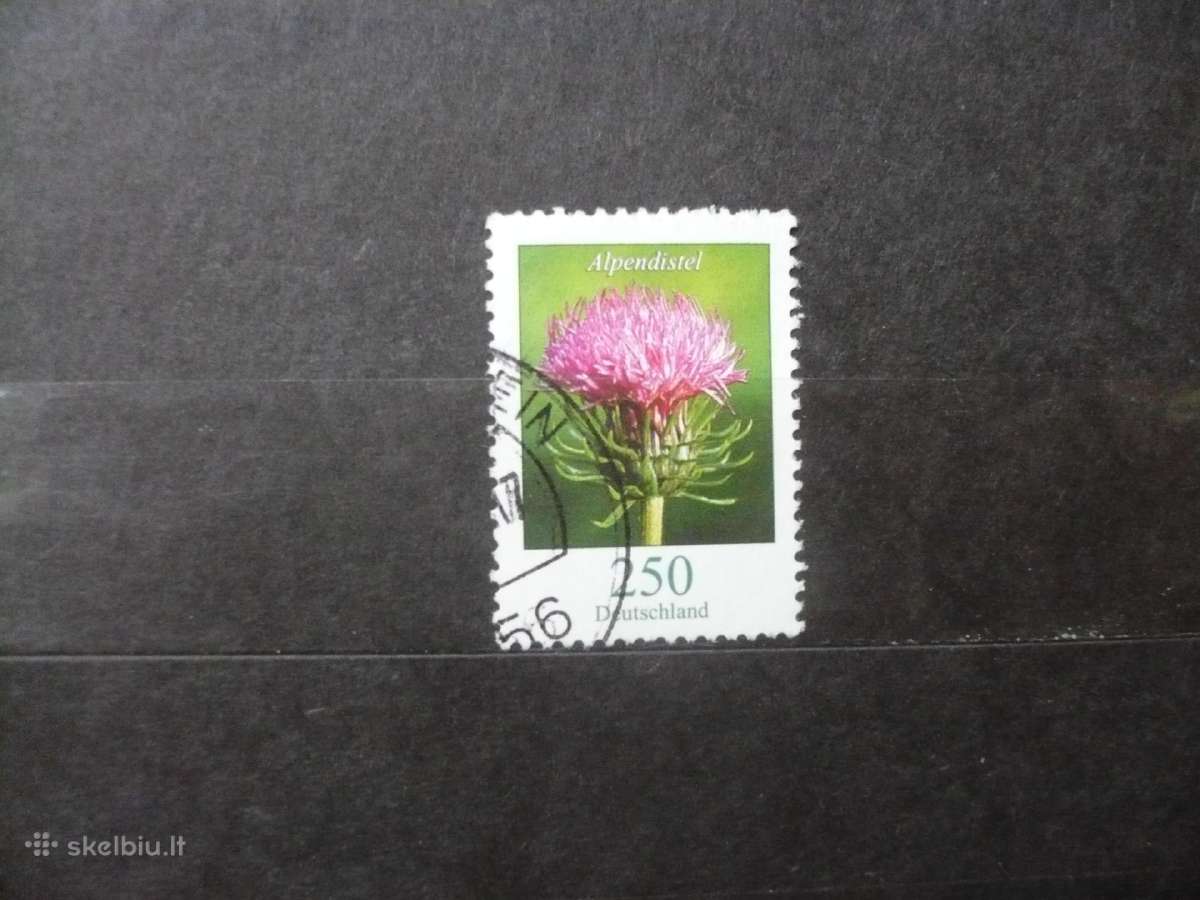 2016 Flora – Gėlės