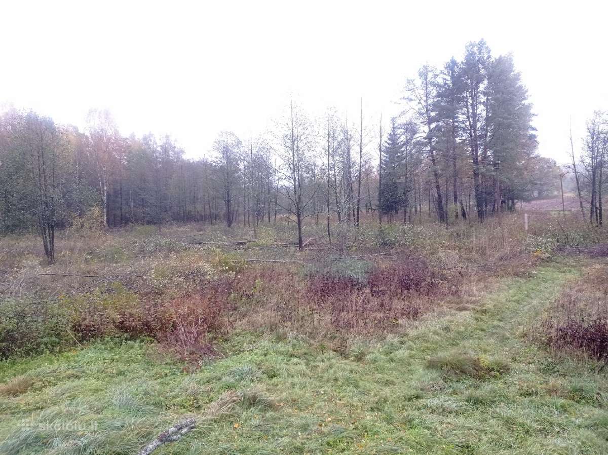 Griovimo darbai, apleistų sklypų tvarkymas. - nuotraukos Nr. 15