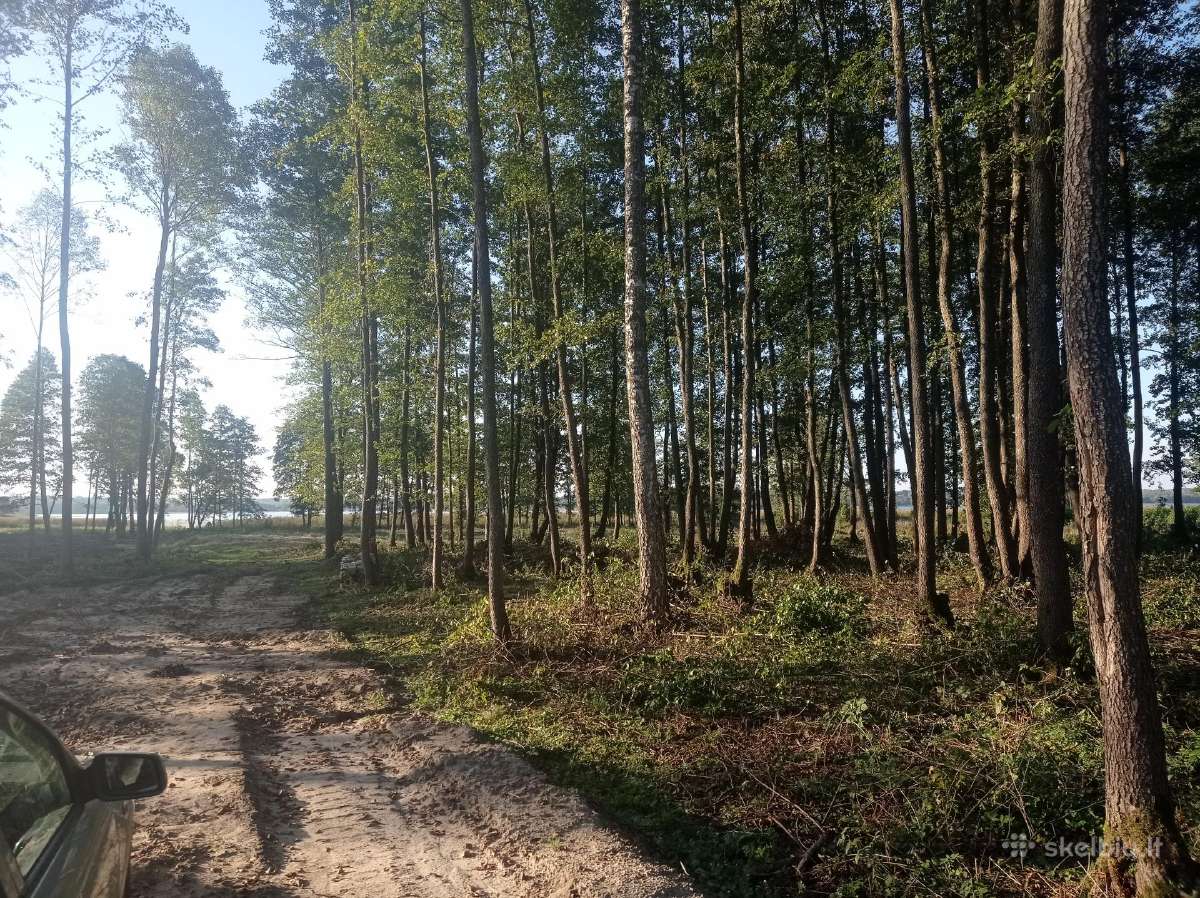 Griovimo darbai, apleistų sklypų tvarkymas. - nuotraukos Nr. 19