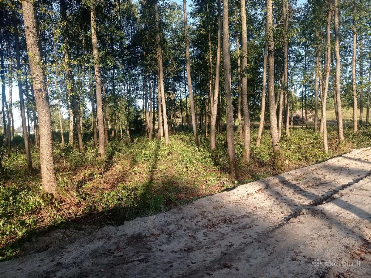 Griovimo darbai, apleistų sklypų tvarkymas. - nuotraukos Nr. 20