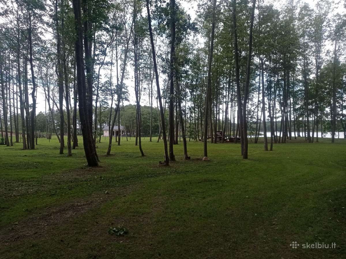 Griovimo darbai, apleistų sklypų tvarkymas. - nuotraukos Nr. 28