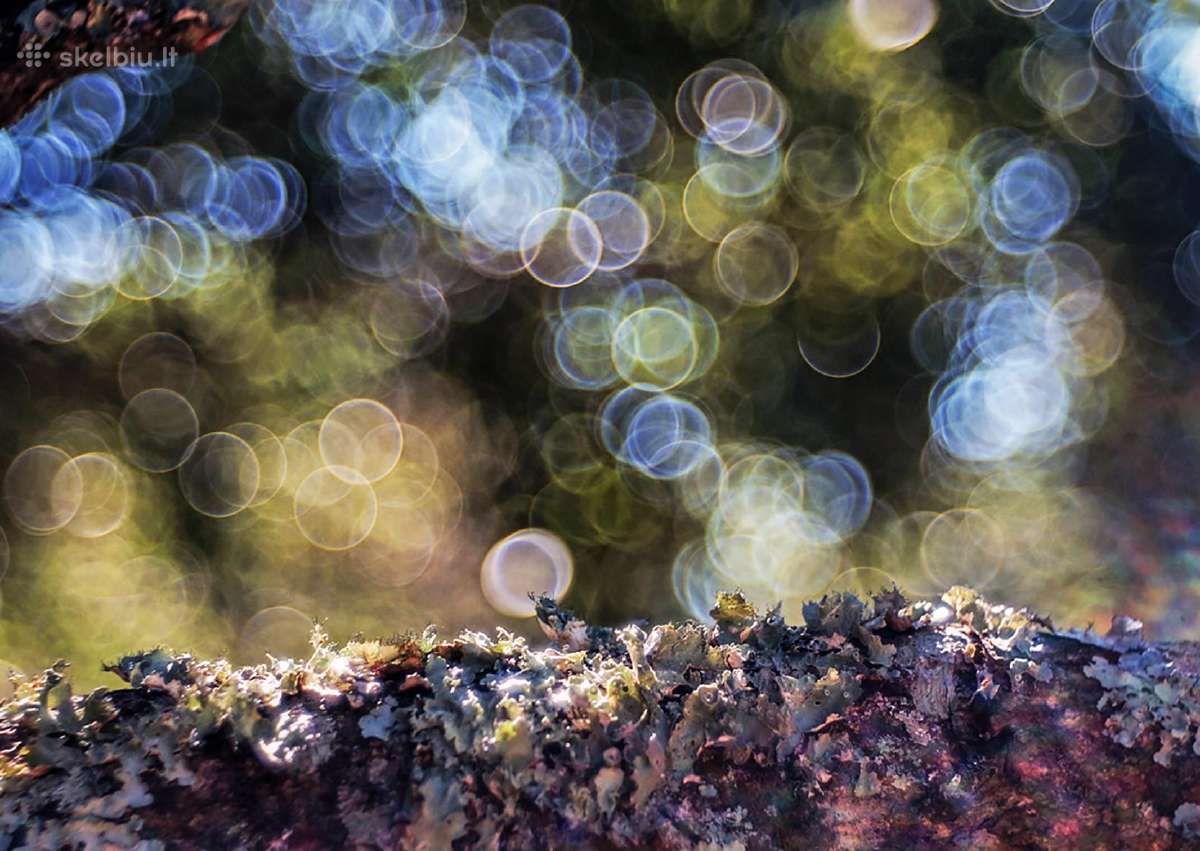 Įvairūs objektyvai fotoaparatams - nuotraukos Nr. 27