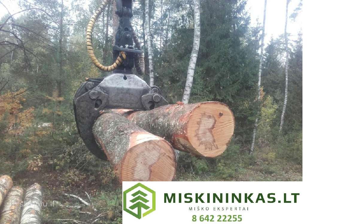 Miško kirtimas, miško priežiūra, sanitariniai kirt