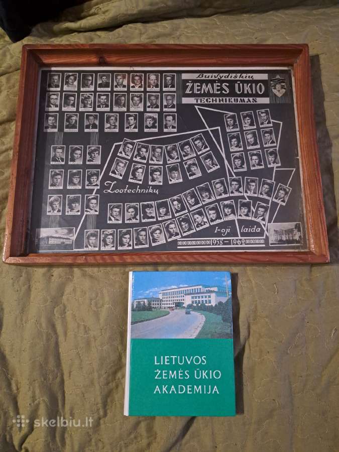 Žemės ūkis