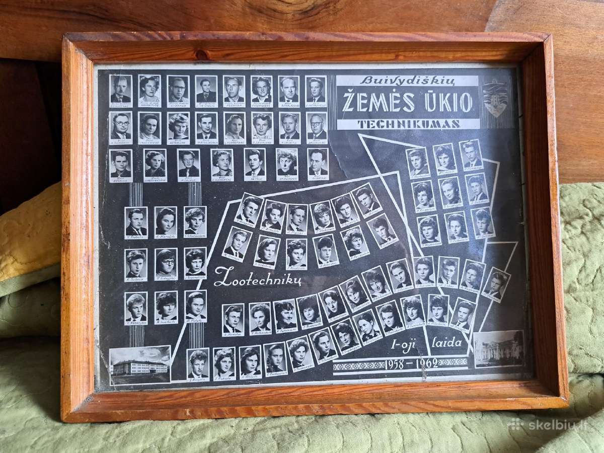 Žemės ūkis - nuotraukos Nr. 11