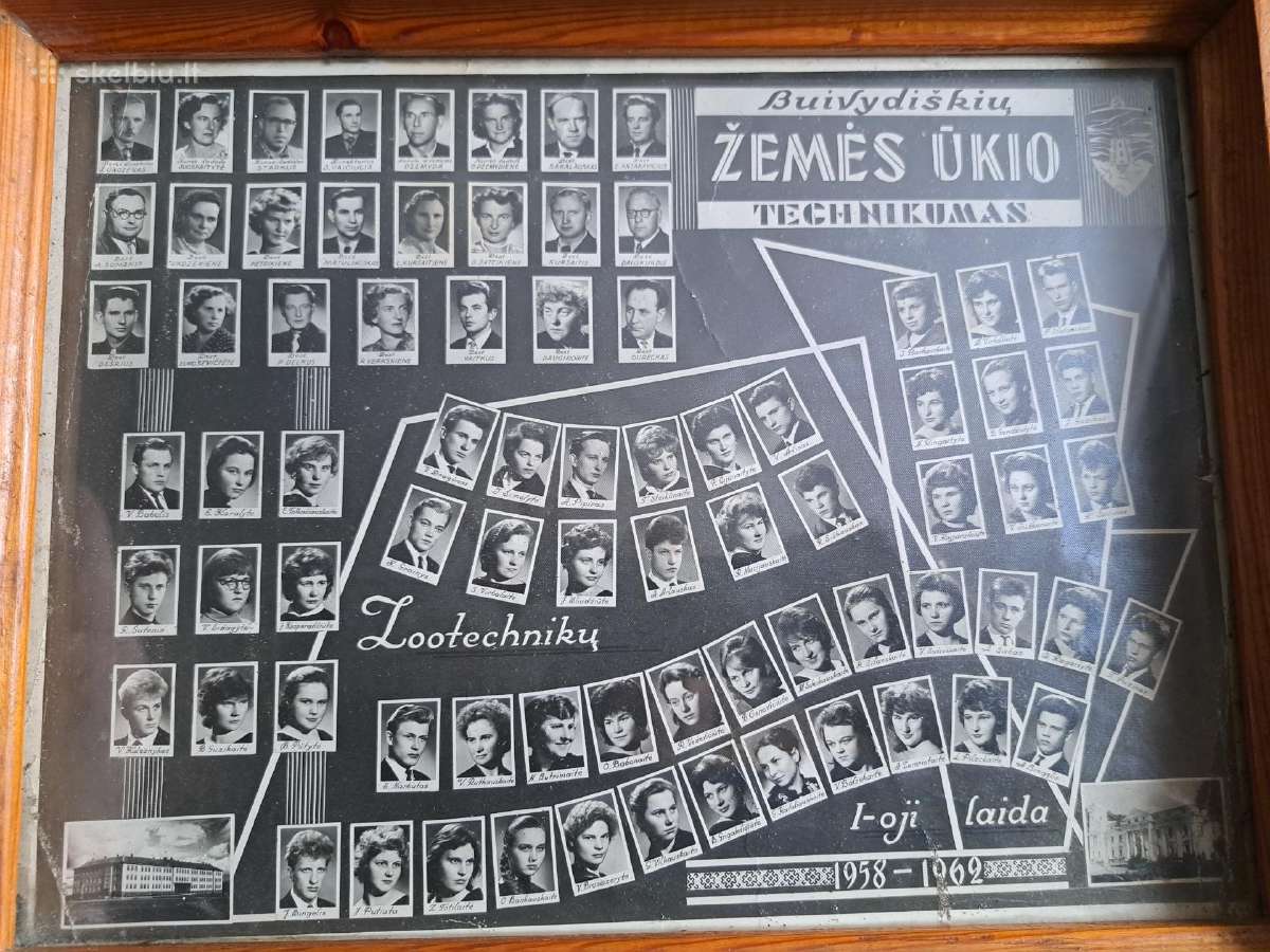 Žemės ūkis - nuotraukos Nr. 12