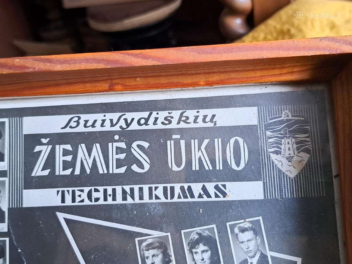 Žemės ūkis - nuotraukos Nr. 19