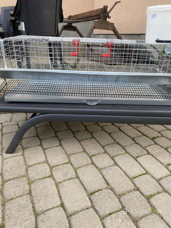 Putpeliu narvai 90€ - nuotraukos Nr. 2