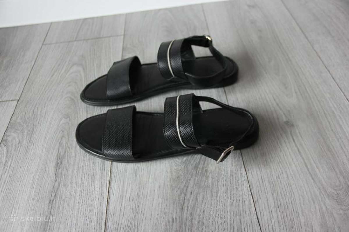 Bally 43d odinės