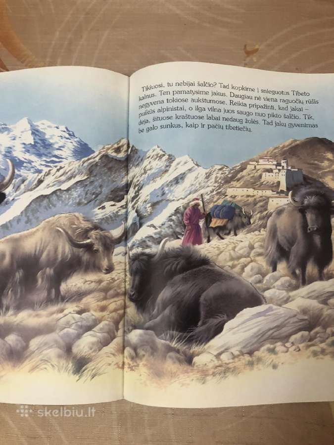 Gyvūnų nuotykiai rinkinys 2 vnt - nuotraukos Nr. 8