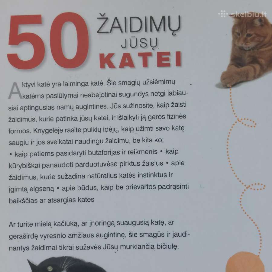 Jakie Strachan " 50 žaidimų Jūsų katei " - nuotraukos Nr. 5