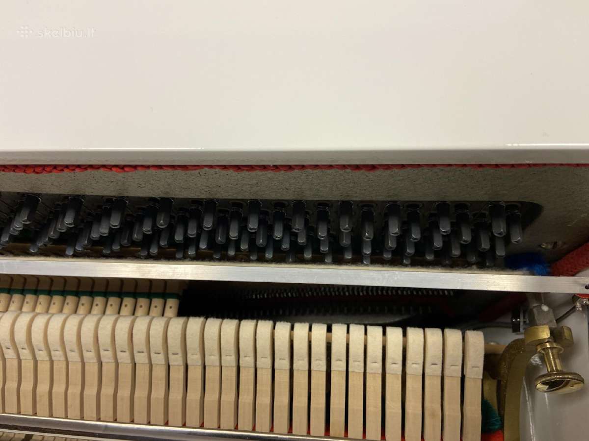 Pianinas August Hoffman Švedija (Renner) - nuotraukos Nr. 25