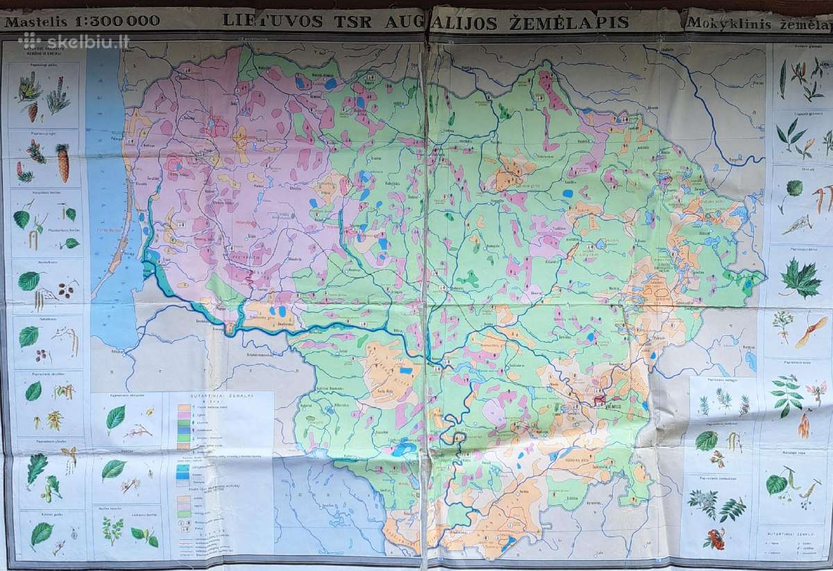 Dideli mokykliniai žemėlapiai 1971 m. - nuotraukos Nr. 3