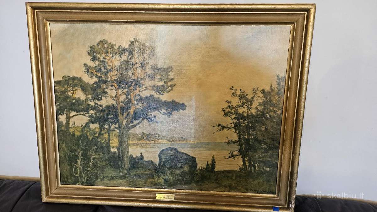 Gottfrid Kallstenius aftonsol i skärgrden