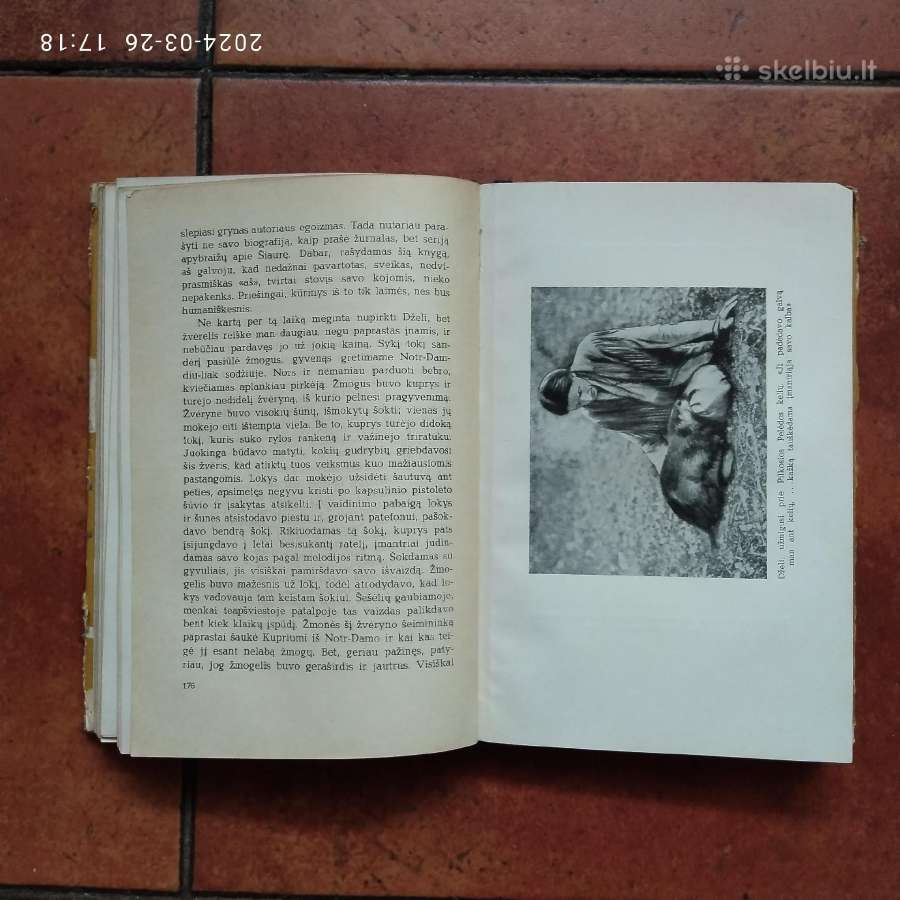 Pilkoji Pelėda "Girių piligrimai" 1958 metai - nuotraukos Nr. 5