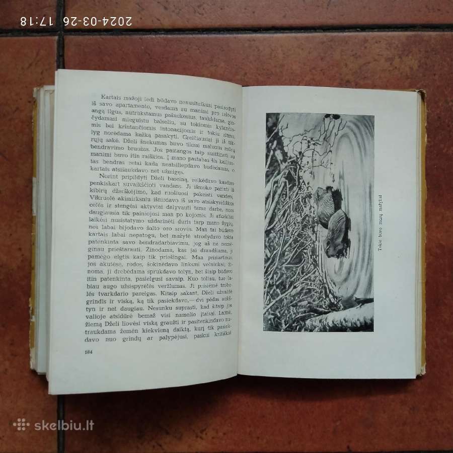 Pilkoji Pelėda "Girių piligrimai" 1958 metai - nuotraukos Nr. 6
