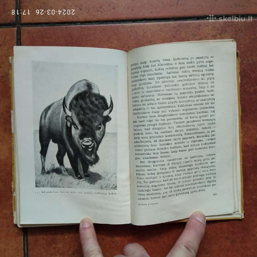 Pilkoji Pelėda "Girių piligrimai" 1958 metai - nuotraukos Nr. 7
