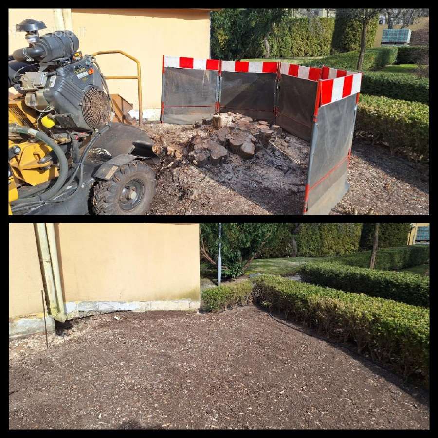 Kelmų frezavimas, šalinimas, naikinimas, rovimas - nuotraukos Nr. 3