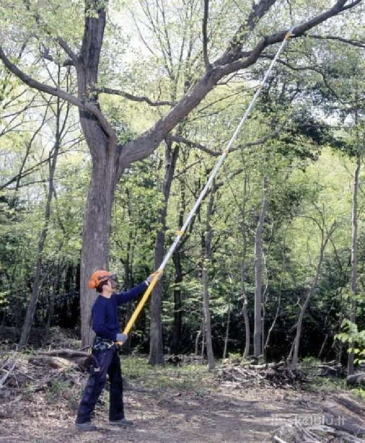 Kelmų Frezavimas Medžių pjovimas Šakų smulkinimas - nuotraukos Nr. 14