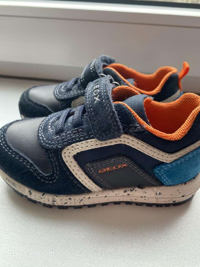 Geox kedukai, 22 dydis