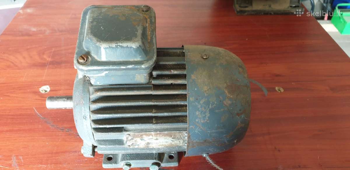 Elektroas variklis