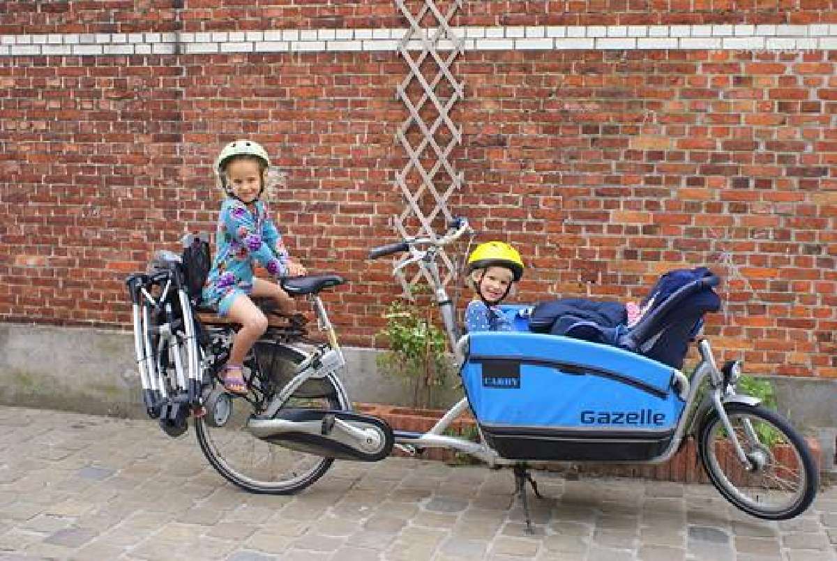 Elektrinis Gazelle Cabby - nuotraukos Nr. 3