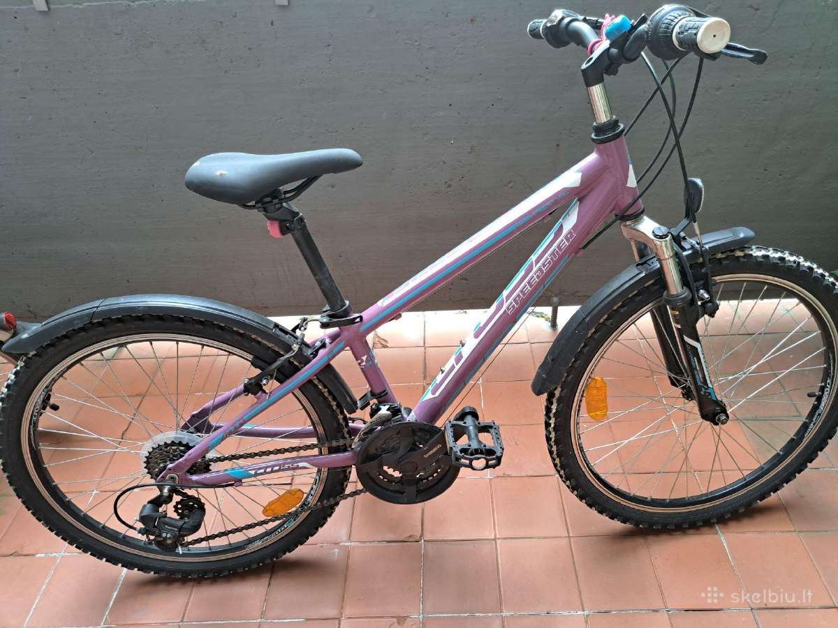 Dviratis Cross Speedster - nuotraukos Nr. 2
