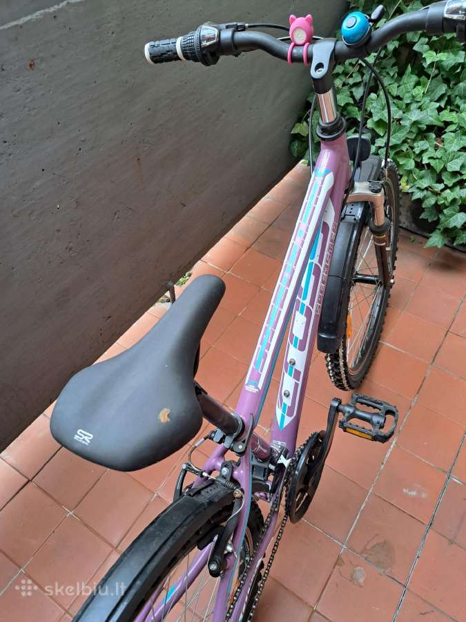 Dviratis Cross Speedster - nuotraukos Nr. 3
