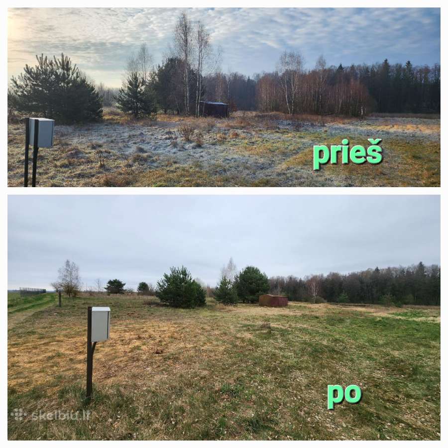 Sklypu Tvarkymas, šakų Išvž.medžiu pjovimas 24/7 - nuotraukos Nr. 4