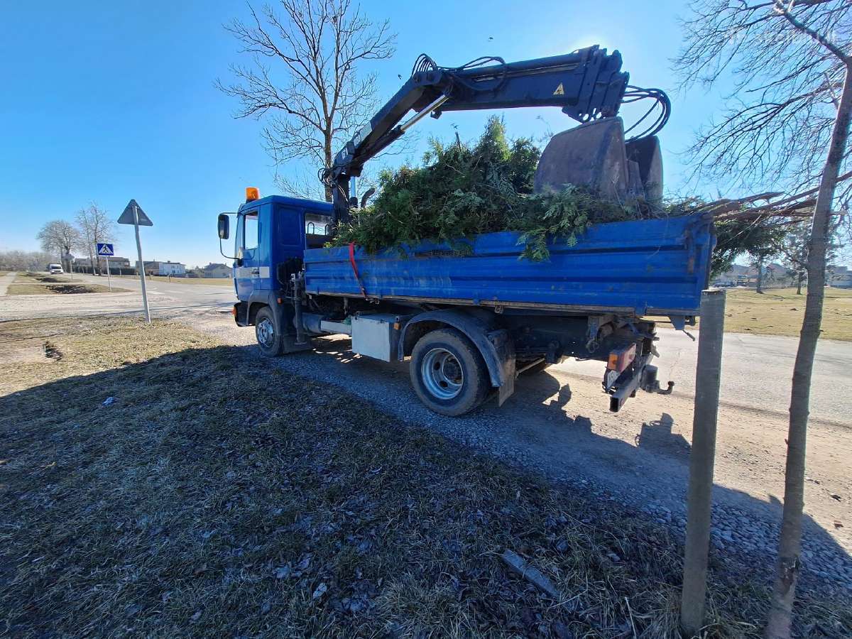 Aplinkos tvarkymas, Šakų išvežimas, Frezavimas