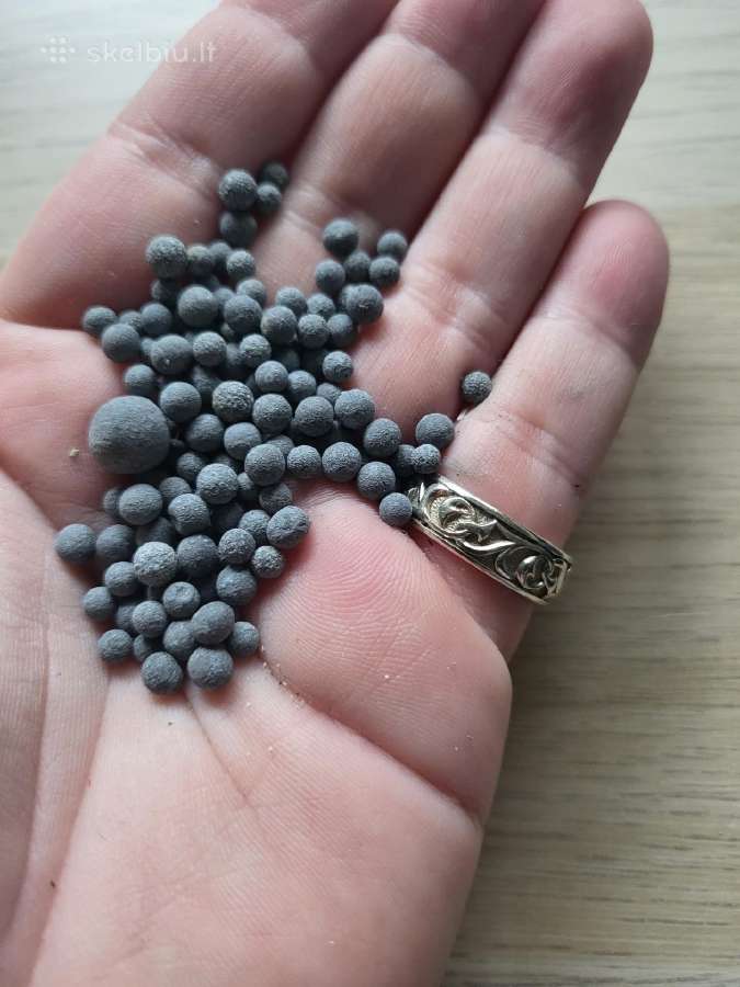 Senovinė medžioklės knygutė ir šratai - nuotraukos Nr. 4