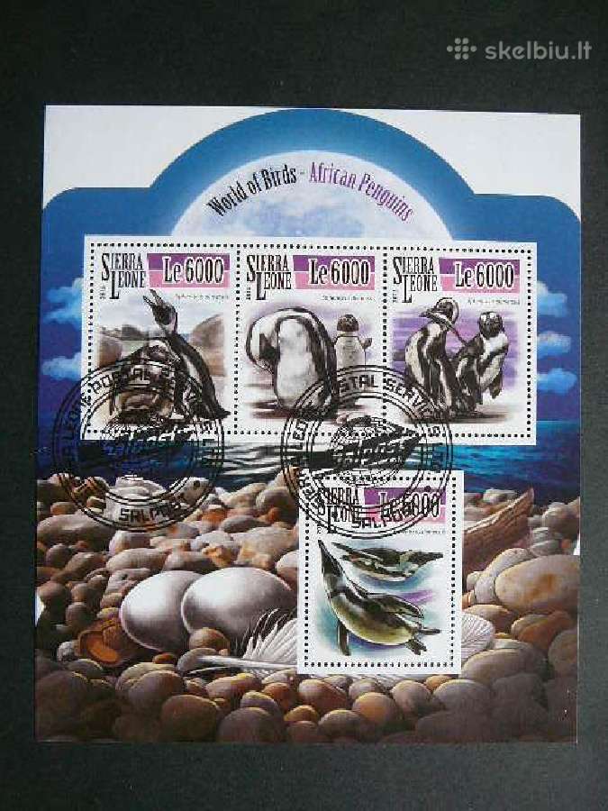 Pingvinai Sierra Leone 2015 antsp. sl117