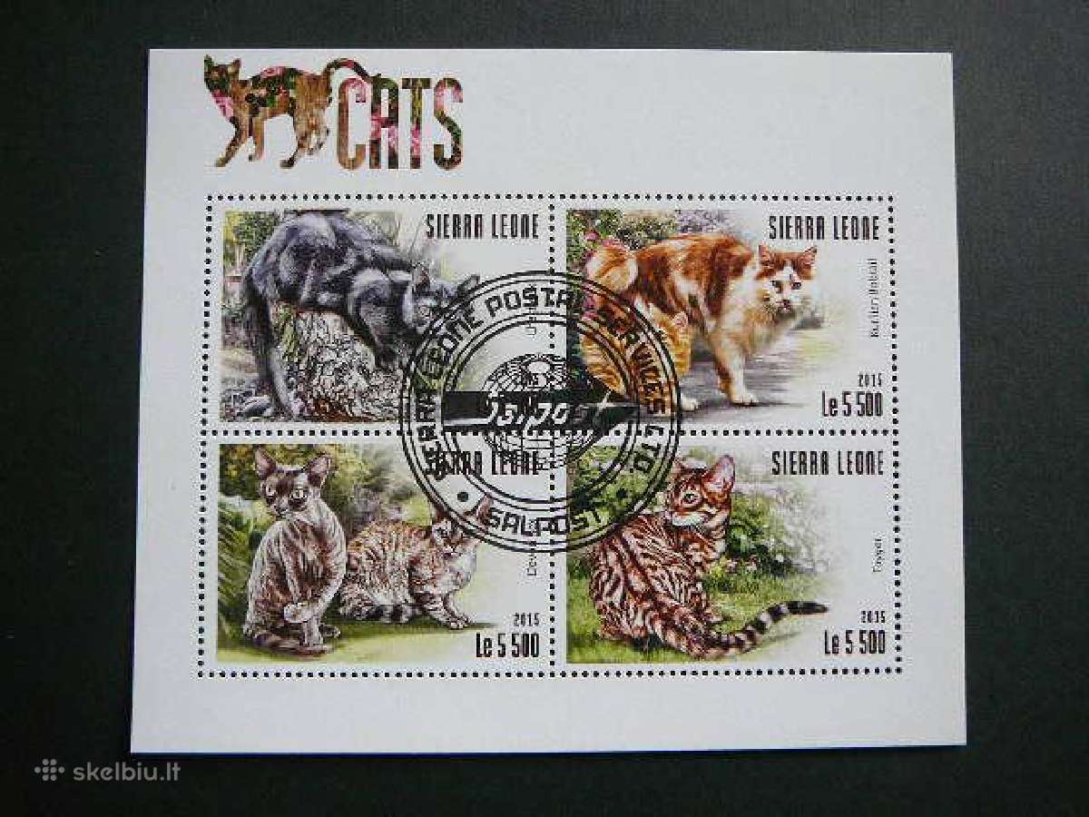 Kates Sierra Leone 2015 antsp. sl122