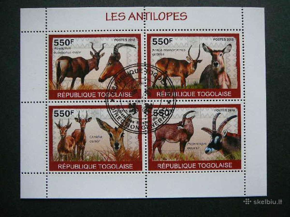 Antilopes Togas 2010 antsp. tg730