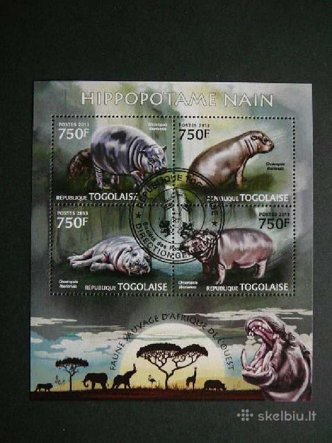 Begemotai Togas 2013 antsp. tg735