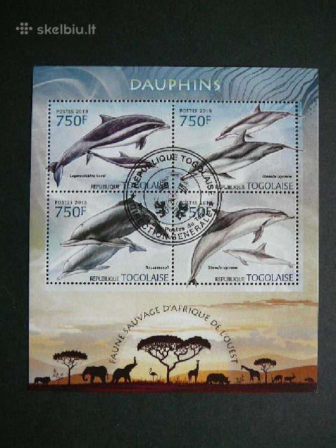Delfinai Togas 2013 antsp. tg736
