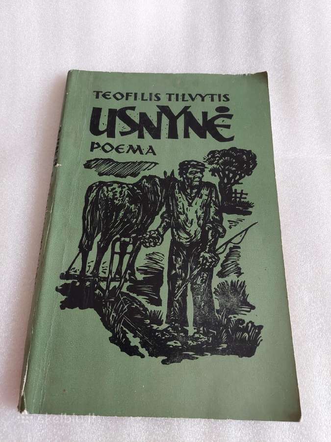 Usnynė