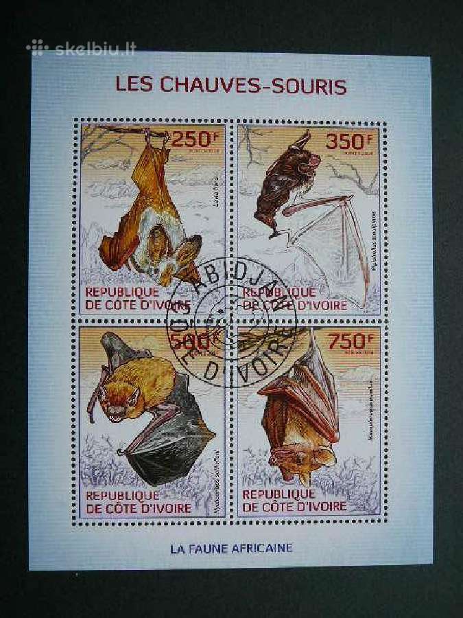 Siksnosparniai Ivory Coast 2014 antsp. cdi212