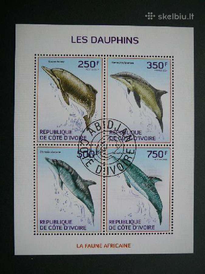 Delfinai Ivory Coast 2014 antsp. cdi213