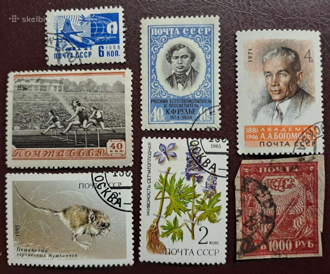 Ivanas-foto-0.70€ - nuotraukos Nr. 24
