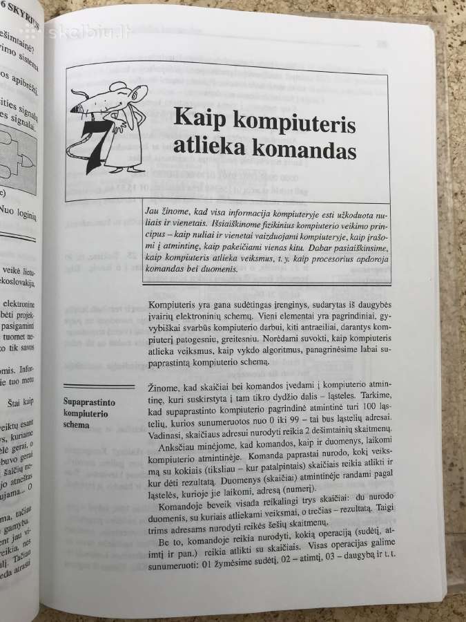 Informatikos pradmenys - nuotraukos Nr. 3