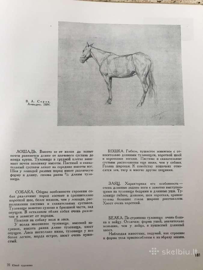 Юный художник / Jaunasis dailininkas - nuotraukos Nr. 9