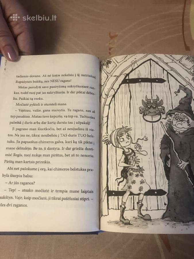 Nepriversit manęs eiti į raganų mokyklą - nuotraukos Nr. 3
