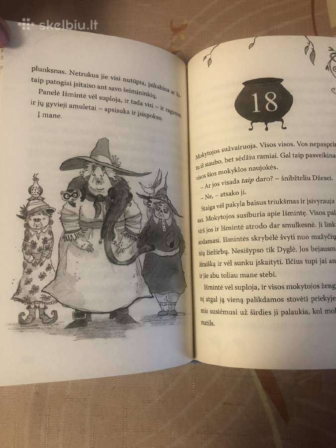 Nepriversit manęs eiti į raganų mokyklą - nuotraukos Nr. 5